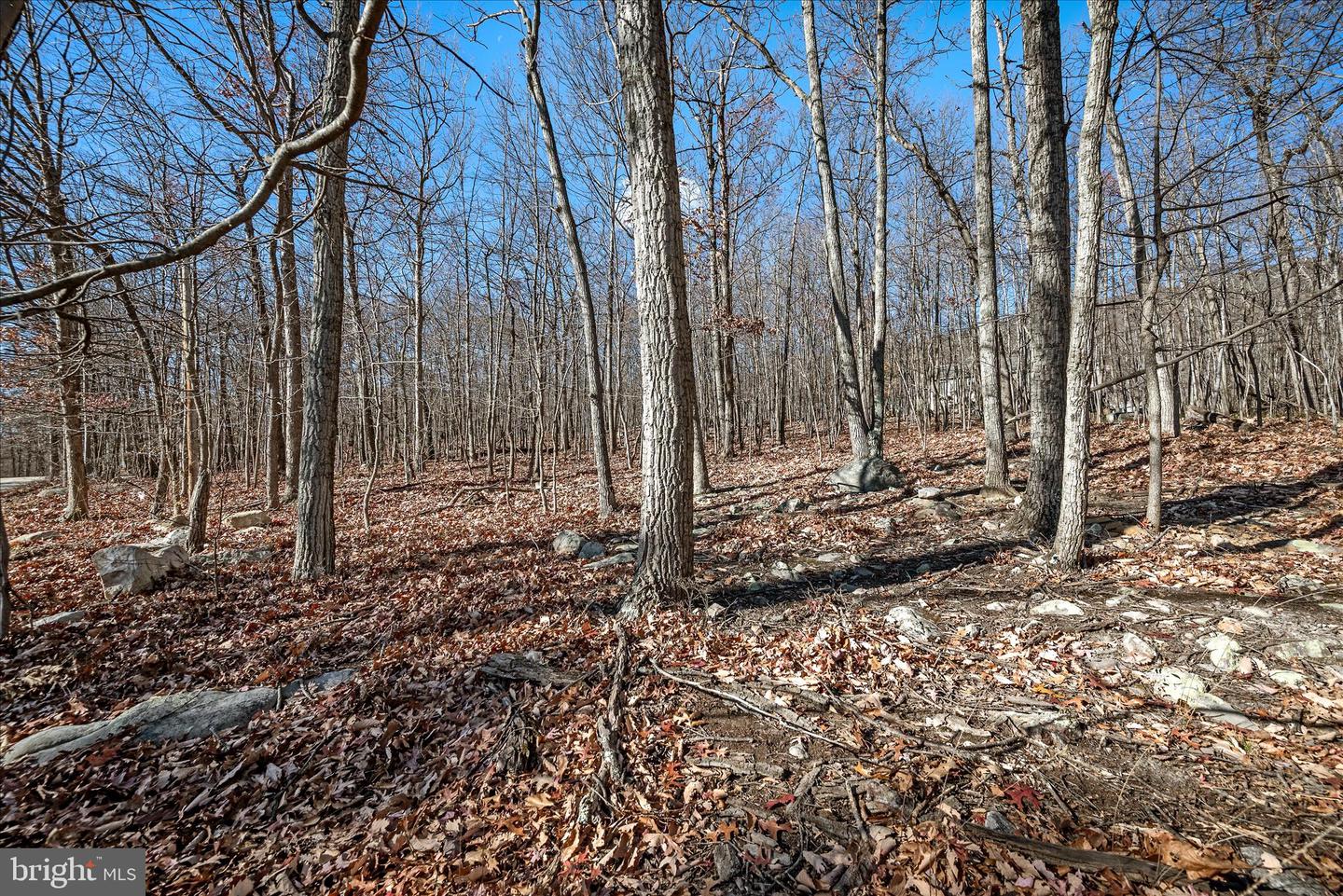 LOT 4 A CARDINAL DR, WINCHESTER, Virginia 22602, ,Land,For sale,LOT 4 A CARDINAL DR,VAFV2038054 MLS # VAFV2038054 LOT 4 A CARDINAL DR, WINCHESTER, Virginia 22602, ,Land,For sale,LOT 4 A CARDINAL DR,VAFV2038054 MLS # VAFV2038054