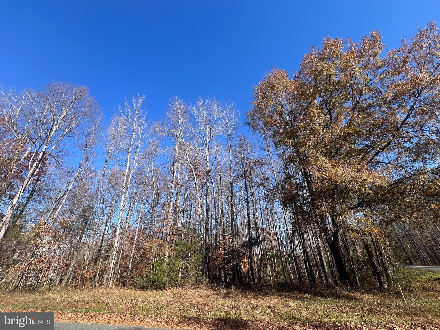 MORTON RD/ LEELAND RD, FREDERICKSBURG, Virginia 22405, ,Land,For sale,MORTON RD/ LEELAND RD,VAFB2009306 MLS # VAFB2009306 MORTON RD/ LEELAND RD, FREDERICKSBURG, Virginia 22405, ,Land,For sale,MORTON RD/ LEELAND RD,VAFB2009306 MLS # VAFB2009306