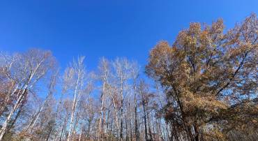 MORTON RD/ LEELAND RD, FREDERICKSBURG, Virginia 22405, ,Land,For sale,MORTON RD/ LEELAND RD,VAFB2009306 MLS # VAFB2009306