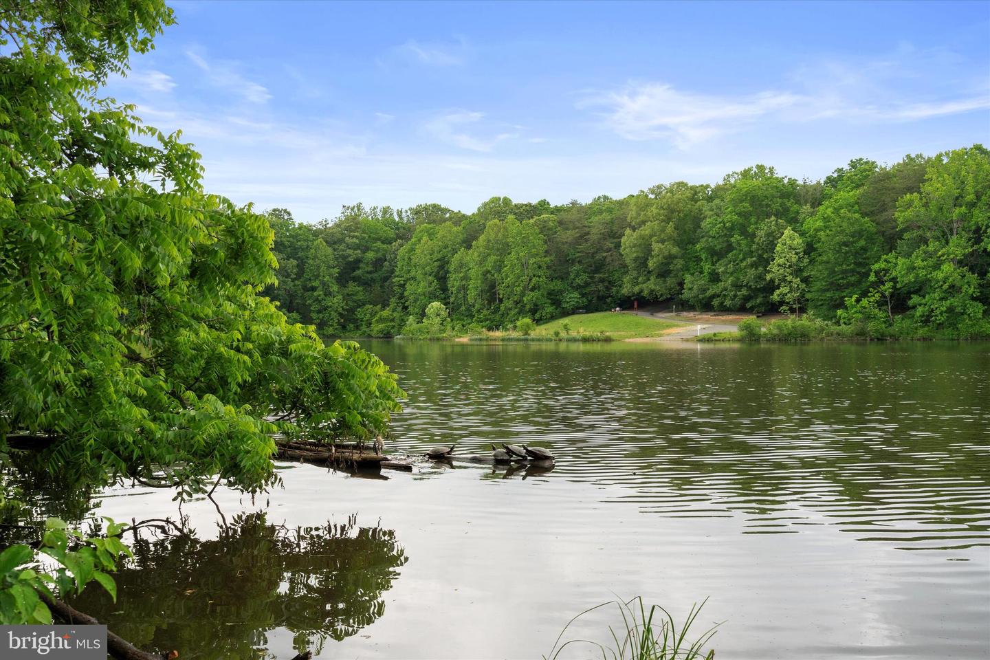 5504 WINFORD CT, FAIRFAX, Virginia 22032, 3 Bedrooms Bedrooms, ,2 BathroomsBathrooms,Residential,For sale,5504 WINFORD CT,VAFX2274448 MLS # VAFX2274448 5504 WINFORD CT, FAIRFAX, Virginia 22032, 3 Bedrooms Bedrooms, ,2 BathroomsBathrooms,Residential,For sale,5504 WINFORD CT,VAFX2274448 MLS # VAFX2274448