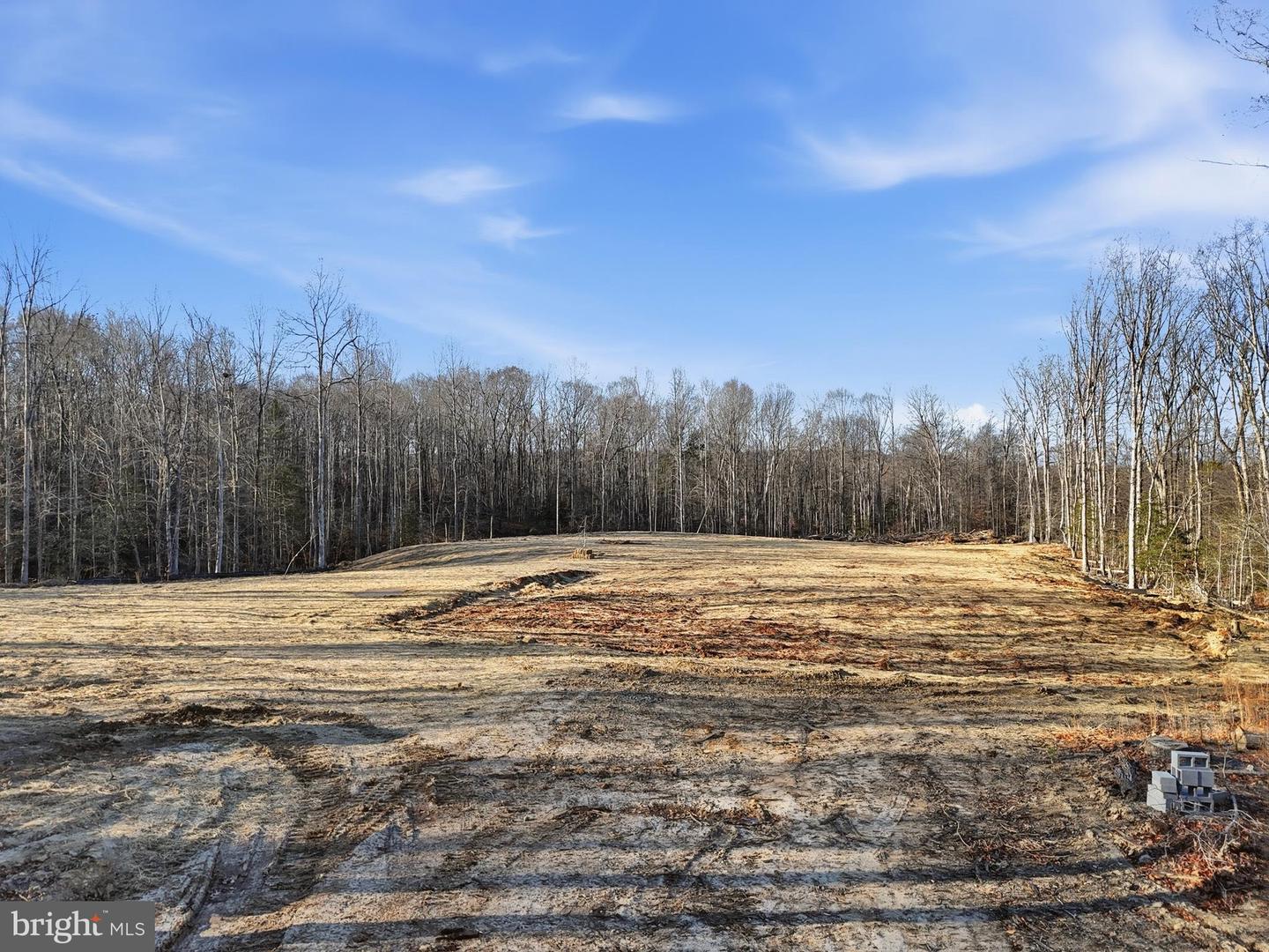 LOT 20 RAPIDAN FARMS DRIVE, LIGNUM, Virginia 22726, ,Land,For sale,LOT 20 RAPIDAN FARMS DRIVE,VACU2011990 MLS # VACU2011990