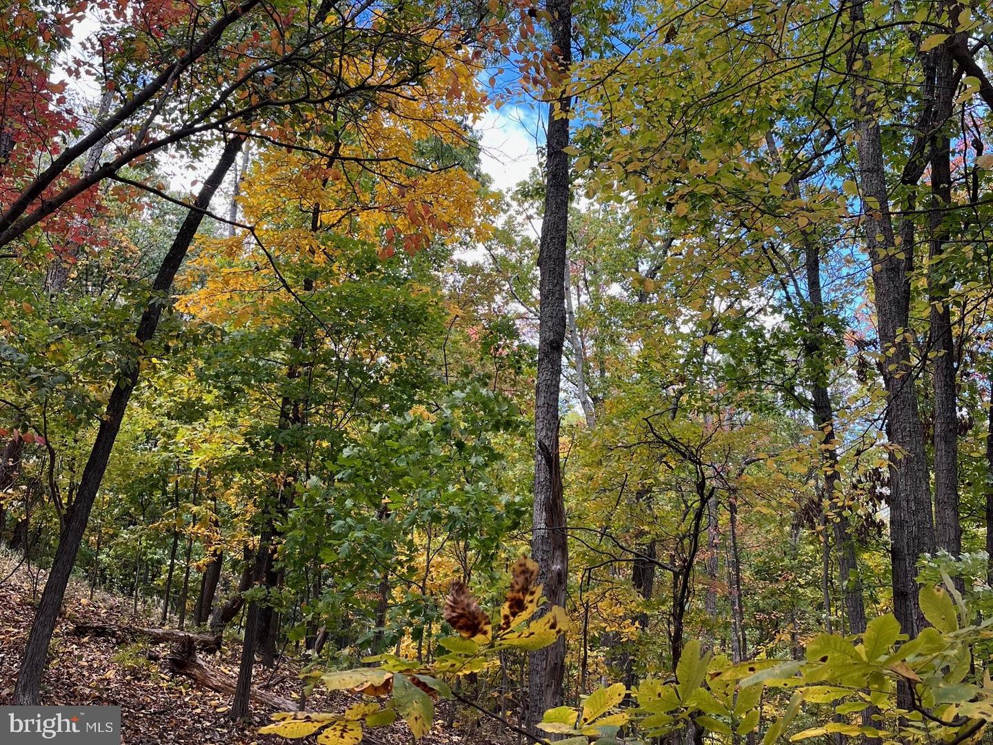 1855 RIDGE RD, HAYMARKET, Virginia 20169, ,Land,For sale,1855 RIDGE RD,VAPW2107734 MLS # VAPW2107734