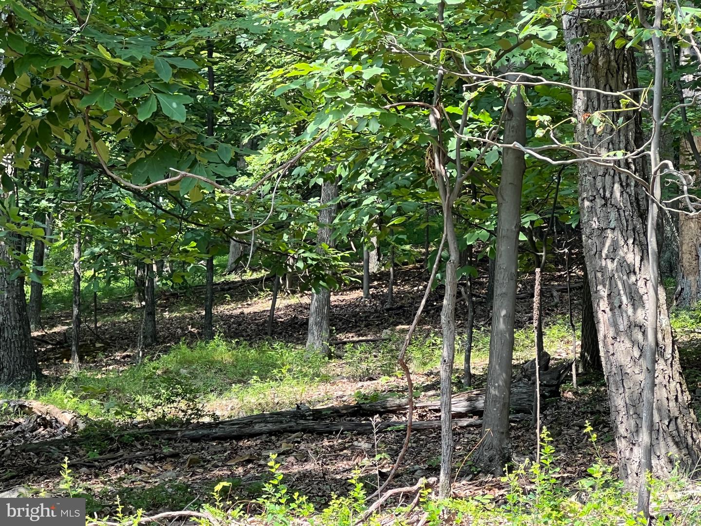 1855 RIDGE RD, HAYMARKET, Virginia 20169, ,Land,For sale,1855 RIDGE RD,VAPW2107734 MLS # VAPW2107734 1855 RIDGE RD, HAYMARKET, Virginia 20169, ,Land,For sale,1855 RIDGE RD,VAPW2107734 MLS # VAPW2107734