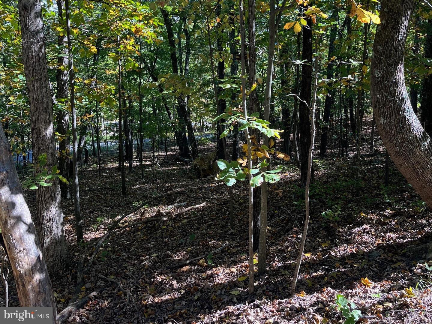 1855 RIDGE RD, HAYMARKET, Virginia 20169, ,Land,For sale,1855 RIDGE RD,VAPW2107734 MLS # VAPW2107734 1855 RIDGE RD, HAYMARKET, Virginia 20169, ,Land,For sale,1855 RIDGE RD,VAPW2107734 MLS # VAPW2107734