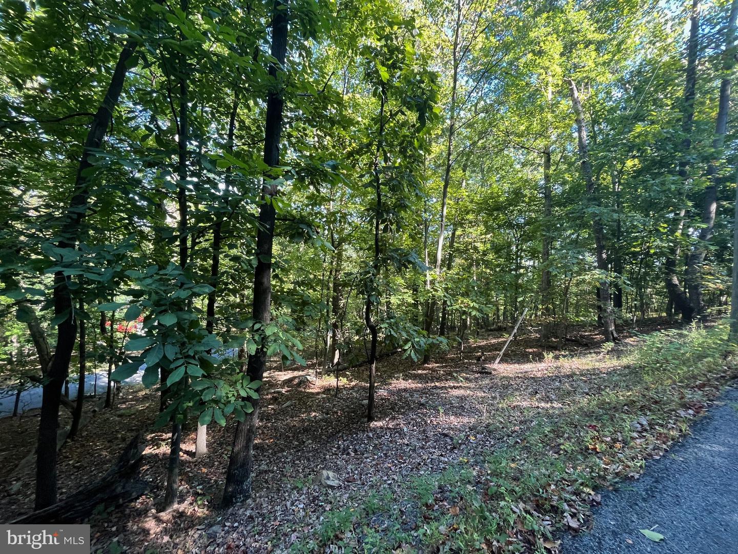 1855 RIDGE RD, HAYMARKET, Virginia 20169, ,Land,For sale,1855 RIDGE RD,VAPW2107734 MLS # VAPW2107734 1855 RIDGE RD, HAYMARKET, Virginia 20169, ,Land,For sale,1855 RIDGE RD,VAPW2107734 MLS # VAPW2107734