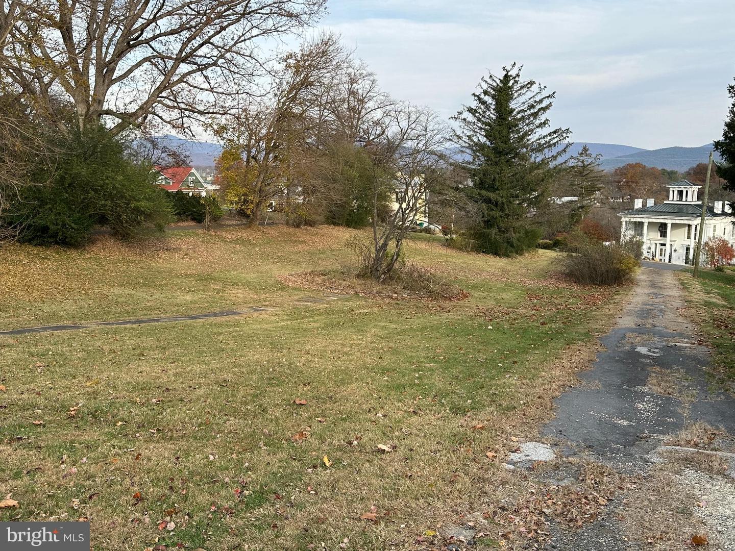 140 S COURT STREET, LURAY, Virginia 22835, ,Land,For sale,140 S COURT STREET,VAPA2005604 MLS # VAPA2005604 140 S COURT STREET, LURAY, Virginia 22835, ,Land,For sale,140 S COURT STREET,VAPA2005604 MLS # VAPA2005604