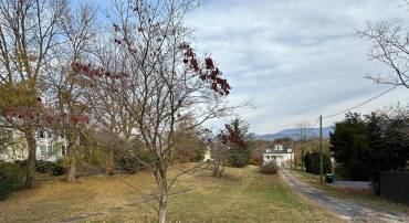 140 S COURT STREET, LURAY, Virginia 22835, ,Land,For sale,140 S COURT STREET,VAPA2005604 MLS # VAPA2005604