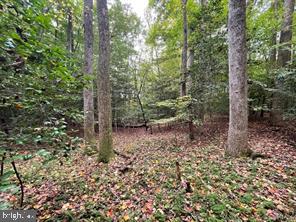 14146 BURWELLS BAY RD, SMITHFIELD, Virginia 23430, ,Land,For sale,14146 BURWELLS BAY RD,VAIW2000058 MLS # VAIW2000058 14146 BURWELLS BAY RD, SMITHFIELD, Virginia 23430, ,Land,For sale,14146 BURWELLS BAY RD,VAIW2000058 MLS # VAIW2000058