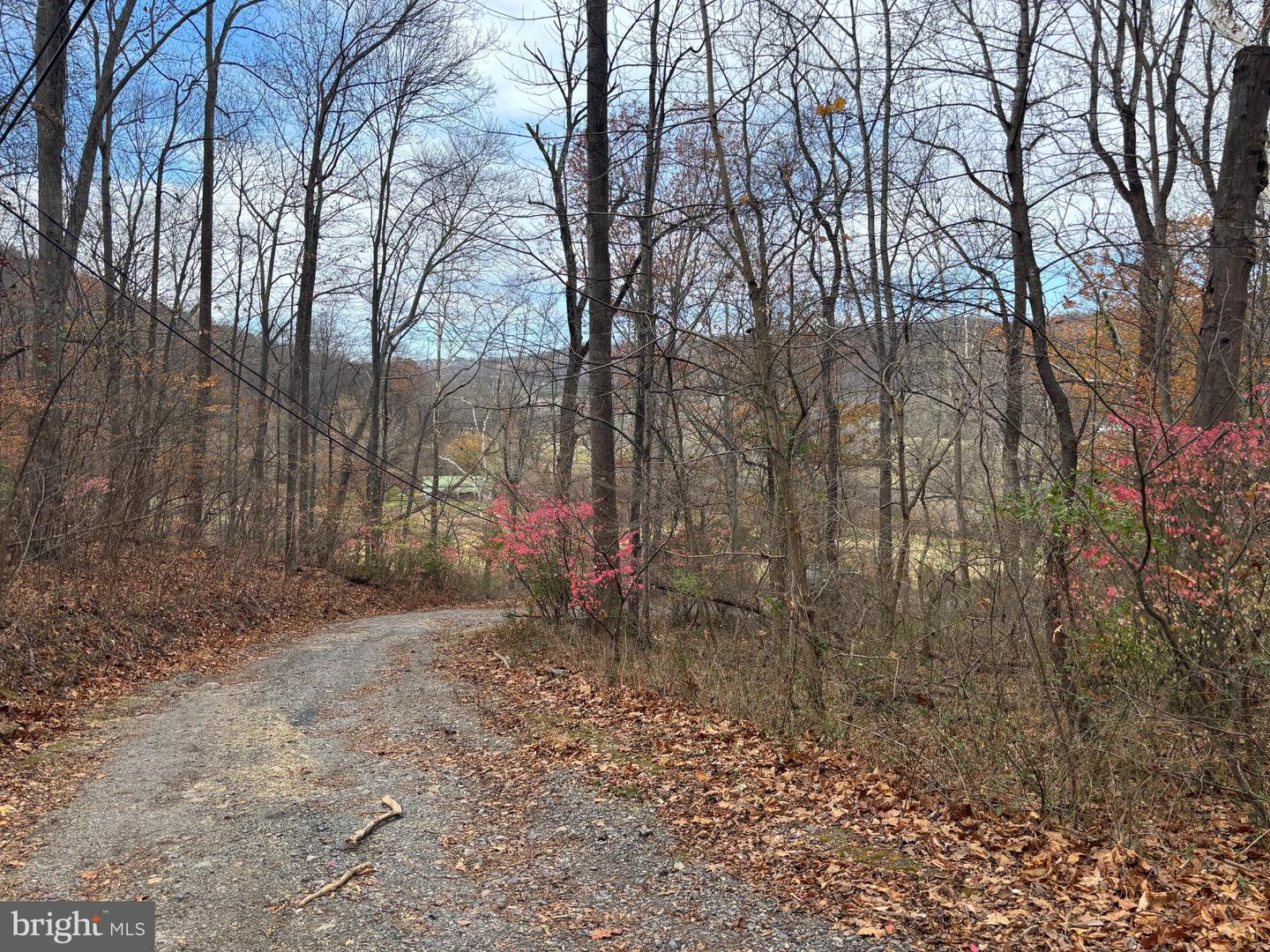 FIERY RUN RD, LINDEN, Virginia 22642, ,Land,For sale,FIERY RUN RD,VAFQ2019678 MLS # VAFQ2019678 FIERY RUN RD, LINDEN, Virginia 22642, ,Land,For sale,FIERY RUN RD,VAFQ2019678 MLS # VAFQ2019678