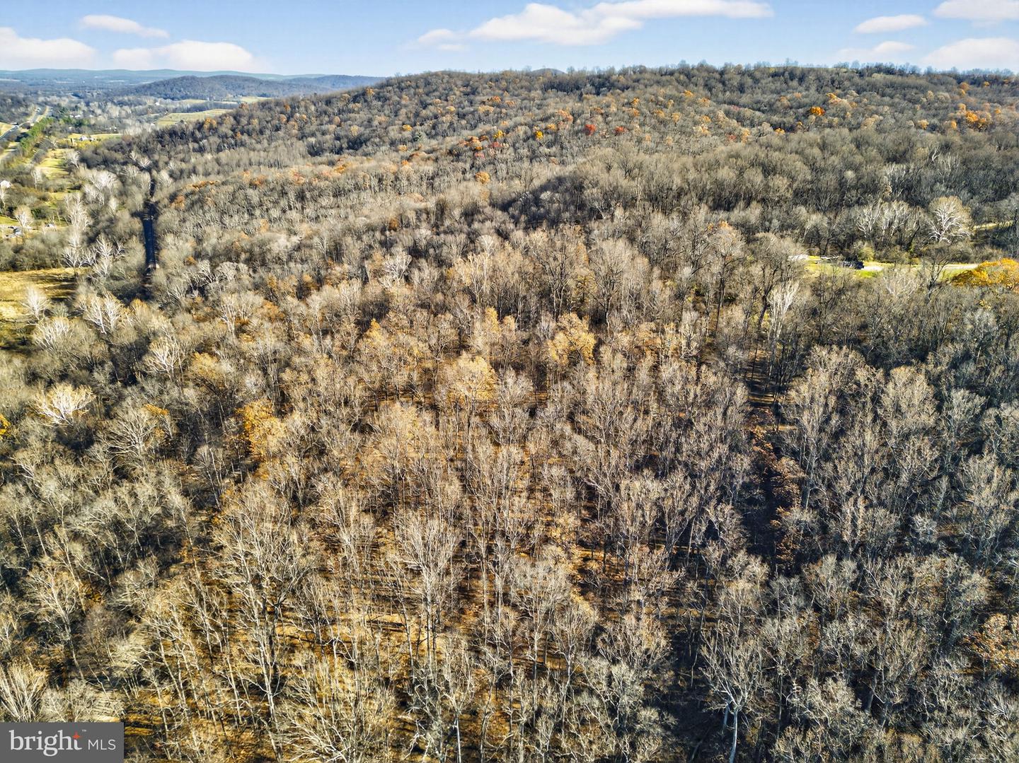 FIERY RUN RD, LINDEN, Virginia 22642, ,Land,For sale,FIERY RUN RD,VAFQ2019678 MLS # VAFQ2019678 FIERY RUN RD, LINDEN, Virginia 22642, ,Land,For sale,FIERY RUN RD,VAFQ2019678 MLS # VAFQ2019678