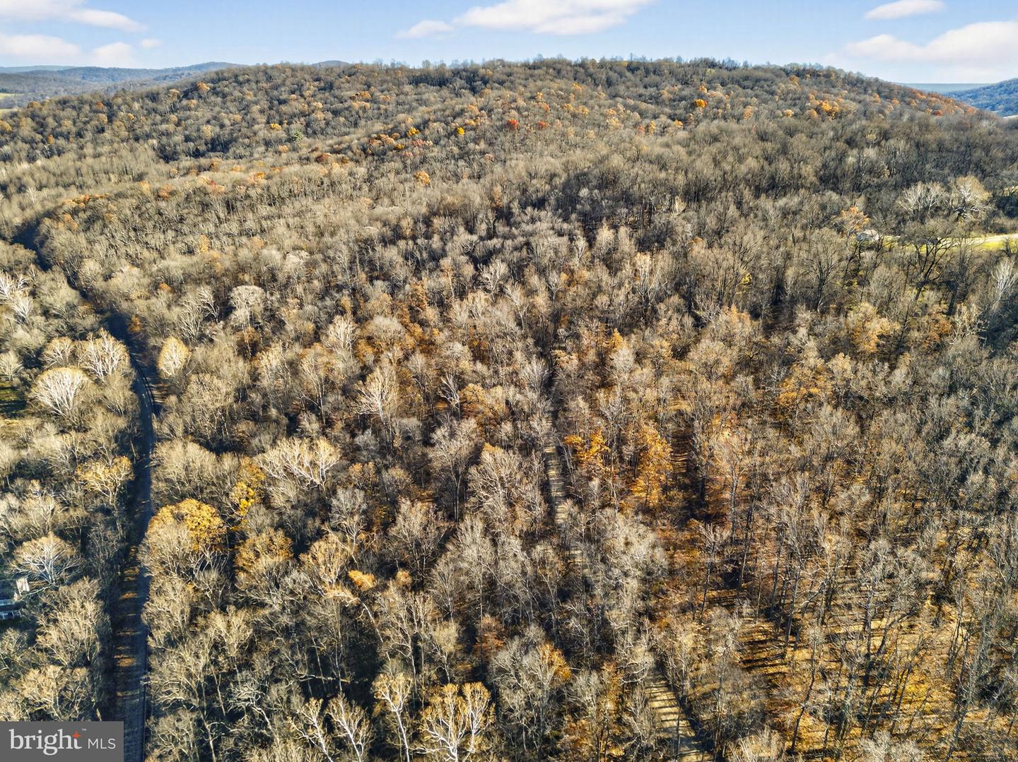 FIERY RUN RD, LINDEN, Virginia 22642, ,Land,For sale,FIERY RUN RD,VAFQ2019678 MLS # VAFQ2019678 FIERY RUN RD, LINDEN, Virginia 22642, ,Land,For sale,FIERY RUN RD,VAFQ2019678 MLS # VAFQ2019678