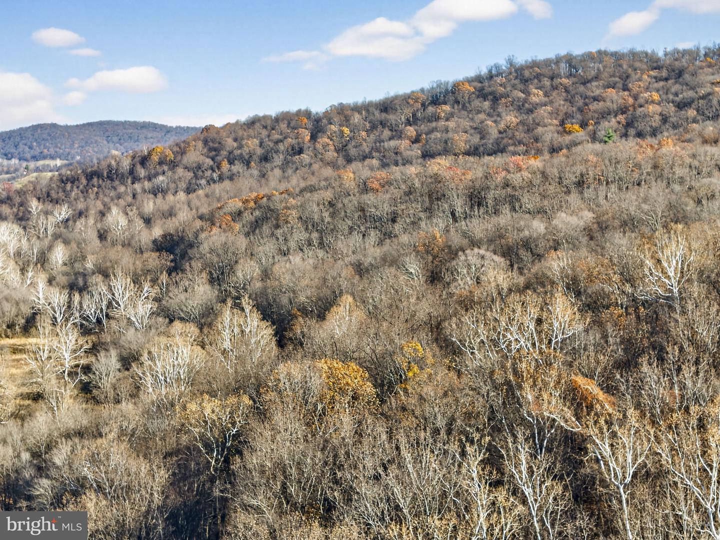 FIERY RUN RD, LINDEN, Virginia 22642, ,Land,For sale,FIERY RUN RD,VAFQ2019678 MLS # VAFQ2019678 FIERY RUN RD, LINDEN, Virginia 22642, ,Land,For sale,FIERY RUN RD,VAFQ2019678 MLS # VAFQ2019678