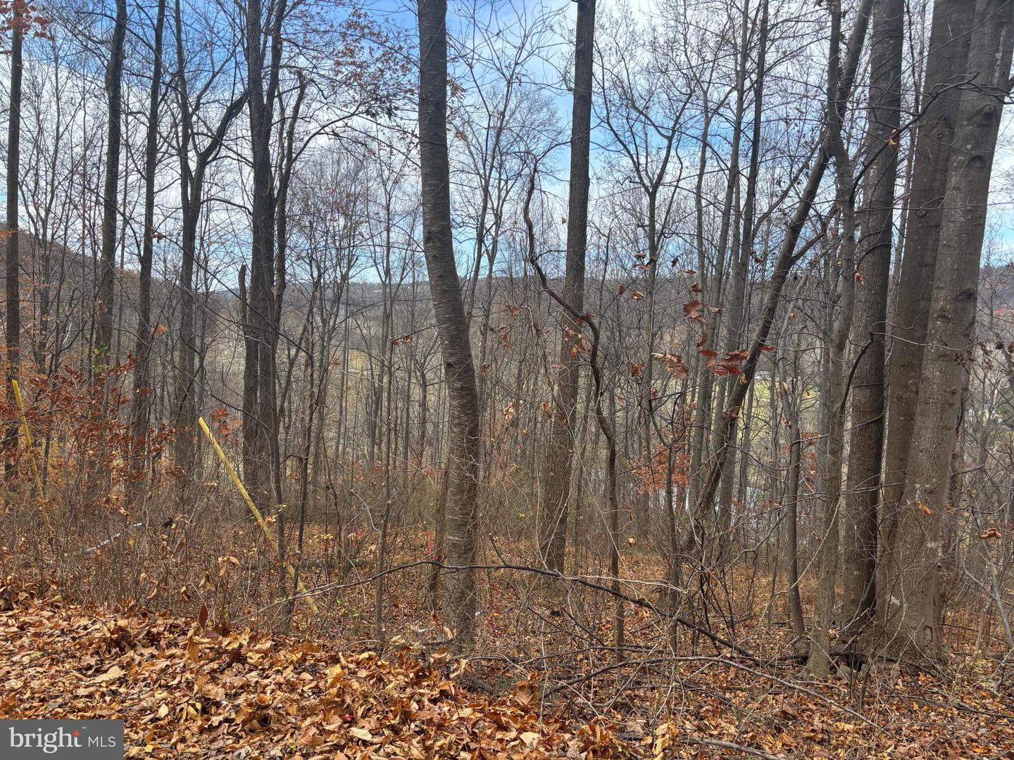 FIERY RUN RD, LINDEN, Virginia 22642, ,Land,For sale,FIERY RUN RD,VAFQ2019678 MLS # VAFQ2019678 FIERY RUN RD, LINDEN, Virginia 22642, ,Land,For sale,FIERY RUN RD,VAFQ2019678 MLS # VAFQ2019678