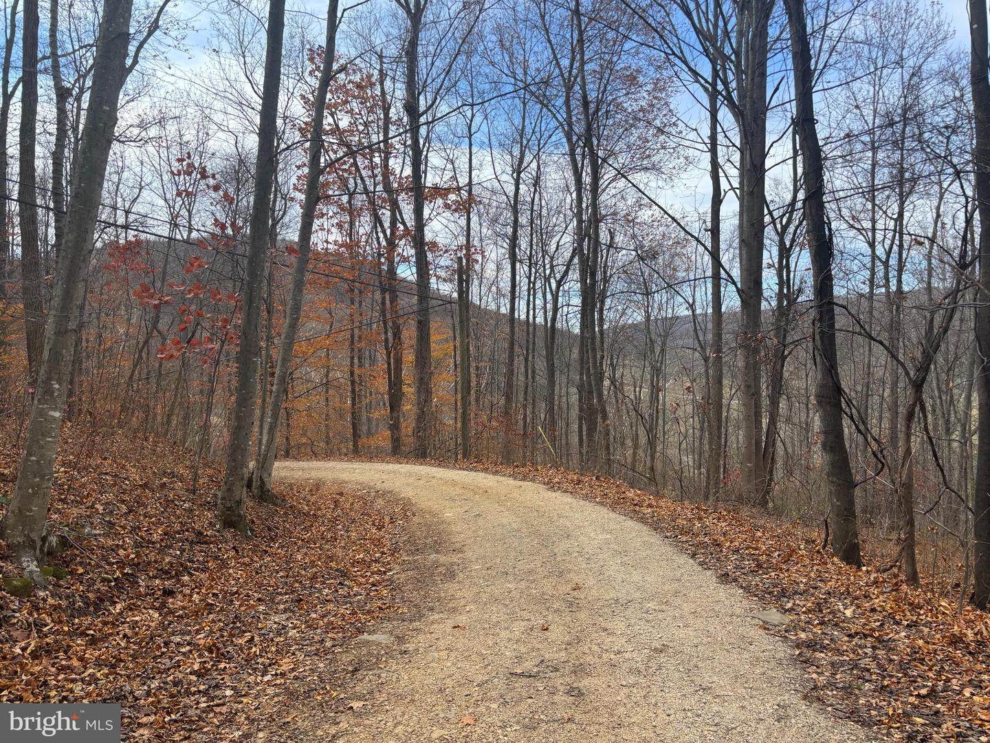 FIERY RUN RD, LINDEN, Virginia 22642, ,Land,For sale,FIERY RUN RD,VAFQ2019678 MLS # VAFQ2019678 FIERY RUN RD, LINDEN, Virginia 22642, ,Land,For sale,FIERY RUN RD,VAFQ2019678 MLS # VAFQ2019678