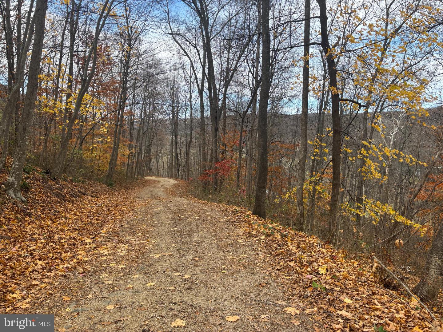 FIERY RUN RD, LINDEN, Virginia 22642, ,Land,For sale,FIERY RUN RD,VAFQ2019678 MLS # VAFQ2019678 FIERY RUN RD, LINDEN, Virginia 22642, ,Land,For sale,FIERY RUN RD,VAFQ2019678 MLS # VAFQ2019678