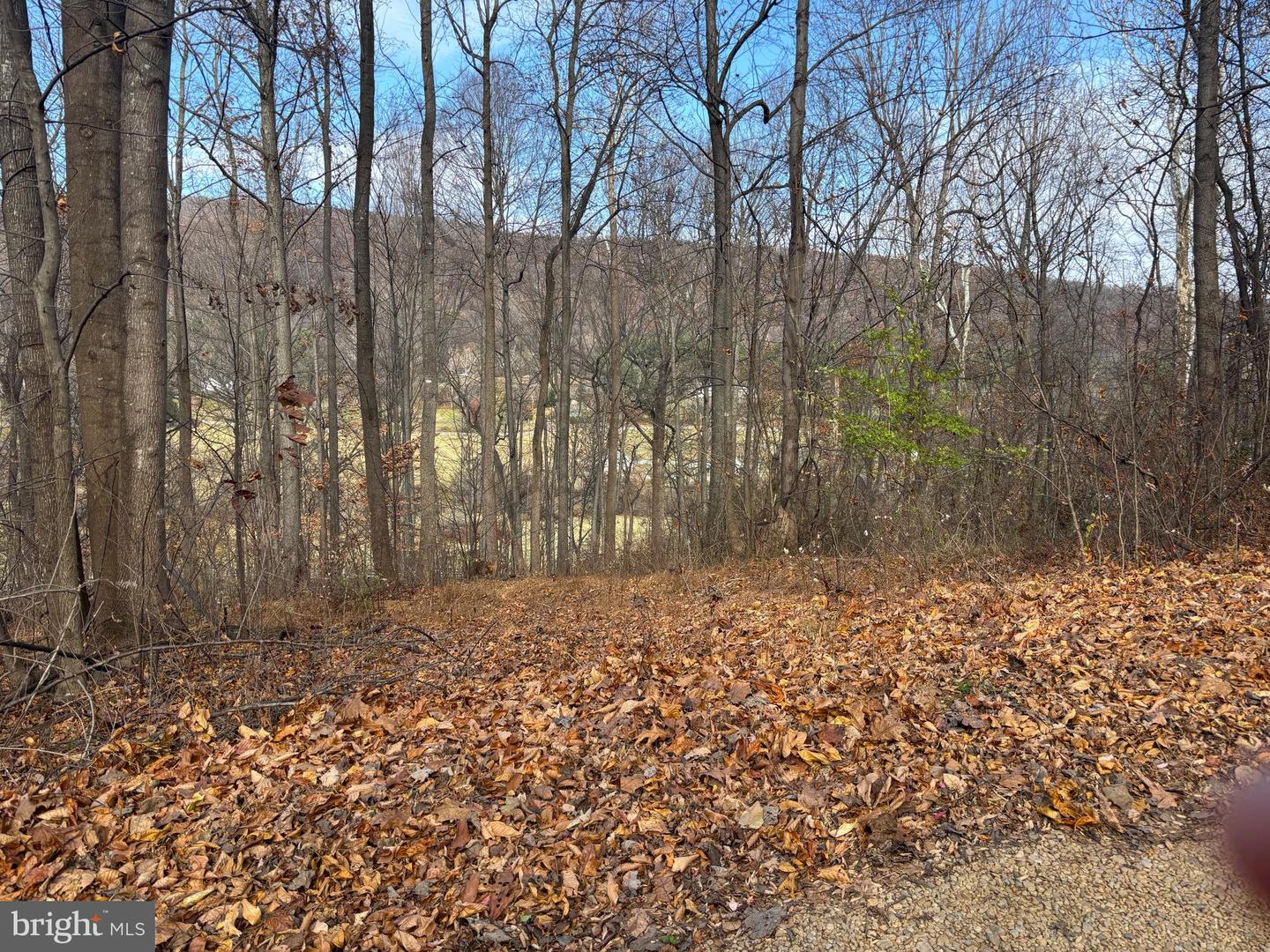 FIERY RUN RD, LINDEN, Virginia 22642, ,Land,For sale,FIERY RUN RD,VAFQ2019678 MLS # VAFQ2019678 FIERY RUN RD, LINDEN, Virginia 22642, ,Land,For sale,FIERY RUN RD,VAFQ2019678 MLS # VAFQ2019678