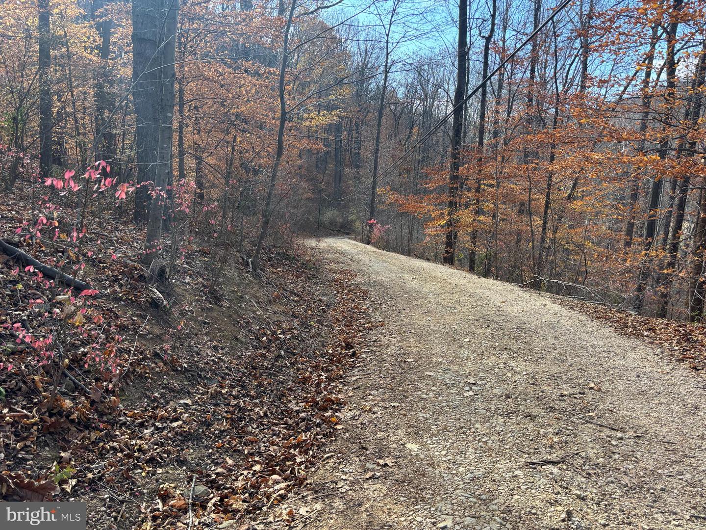 FIERY RUN RD, LINDEN, Virginia 22642, ,Land,For sale,FIERY RUN RD,VAFQ2019678 MLS # VAFQ2019678 FIERY RUN RD, LINDEN, Virginia 22642, ,Land,For sale,FIERY RUN RD,VAFQ2019678 MLS # VAFQ2019678