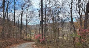 FIERY RUN RD, LINDEN, Virginia 22642, ,Land,For sale,FIERY RUN RD,VAFQ2019678 MLS # VAFQ2019678