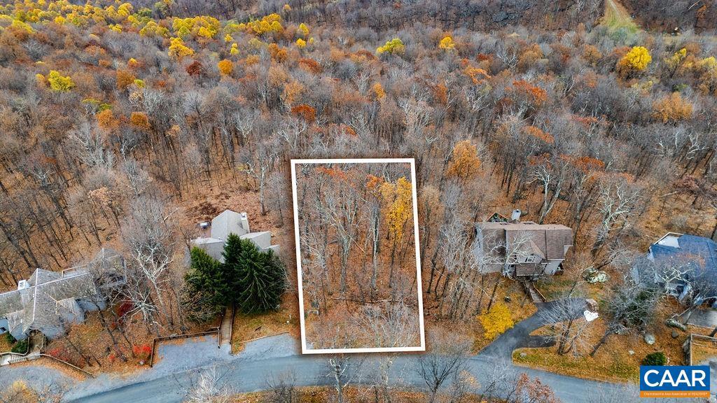 341 CHESTNUT PL, WINTERGREEN RESORT, Virginia 22967, ,Land,For sale,341 CHESTNUT PL,671124 MLS # 671124 341 CHESTNUT PL, WINTERGREEN RESORT, Virginia 22967, ,Land,For sale,341 CHESTNUT PL,671124 MLS # 671124