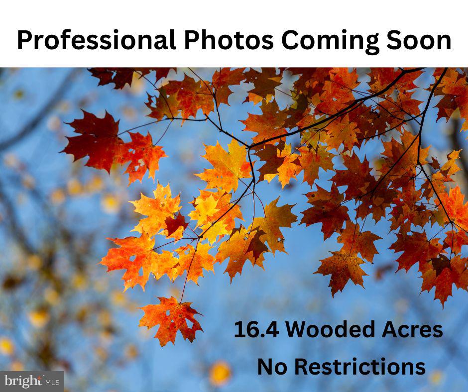 TAX MAP 69 2B ELEYS FORD RD., RICHARDSVILLE, Virginia 22736, ,Land,For sale,TAX MAP 69 2B ELEYS FORD RD.,VACU2012084 MLS # VACU2012084