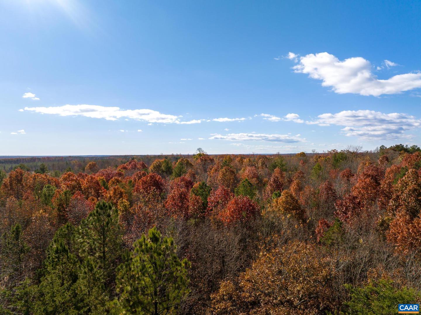 0 HOLLANDS RD, BYBEE, Virginia 22963, ,Farm,For sale,0 HOLLANDS RD,671140 MLS # 671140 0 HOLLANDS RD, BYBEE, Virginia 22963, ,Farm,For sale,0 HOLLANDS RD,671140 MLS # 671140