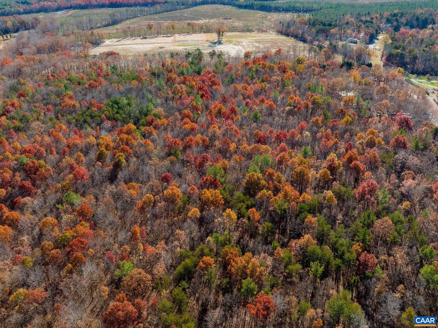 0 HOLLANDS RD, BYBEE, Virginia 22963, ,Farm,For sale,0 HOLLANDS RD,671140 MLS # 671140 0 HOLLANDS RD, BYBEE, Virginia 22963, ,Farm,For sale,0 HOLLANDS RD,671140 MLS # 671140