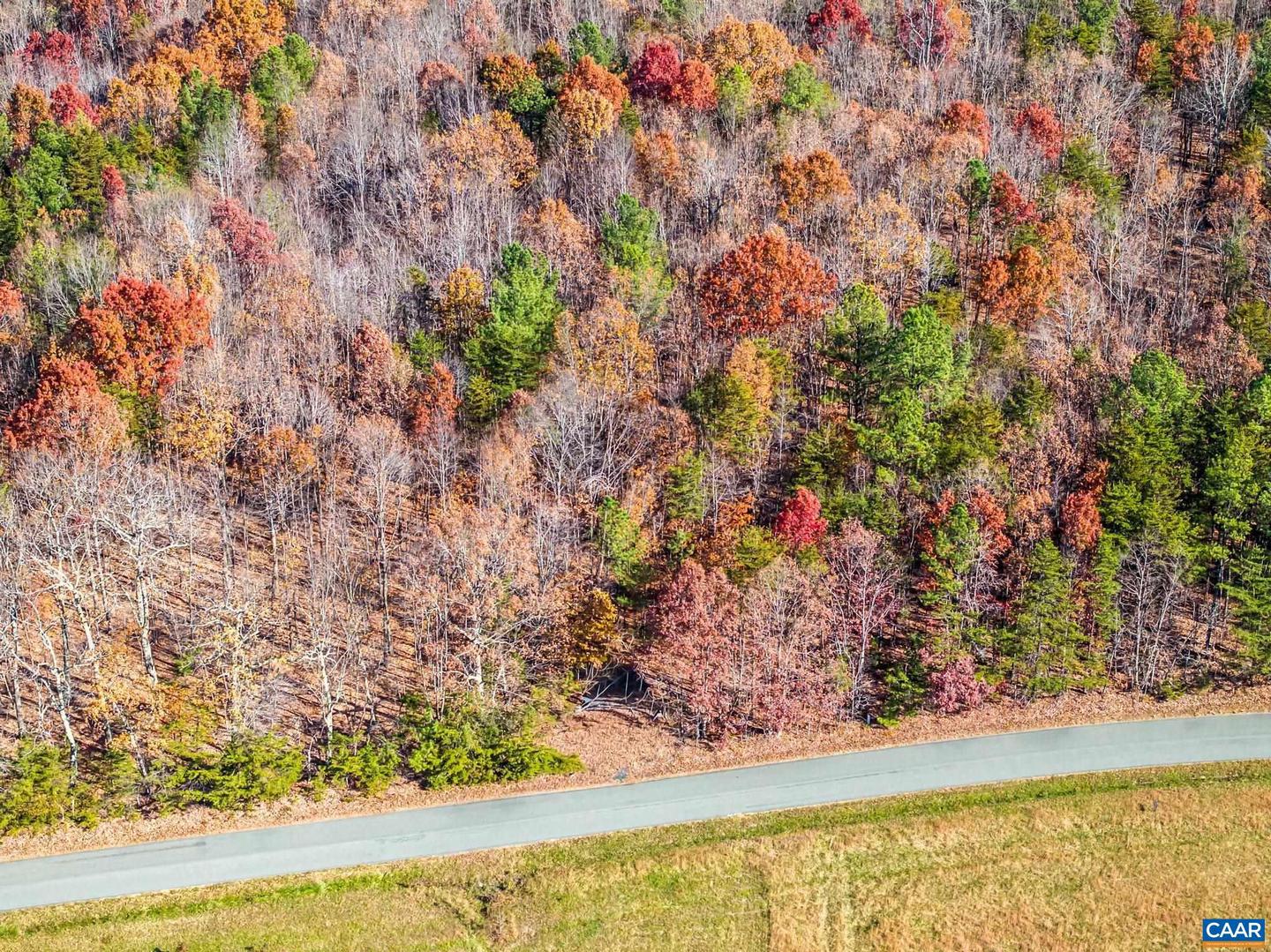 0 HOLLANDS RD, BYBEE, Virginia 22963, ,Farm,For sale,0 HOLLANDS RD,671140 MLS # 671140 0 HOLLANDS RD, BYBEE, Virginia 22963, ,Farm,For sale,0 HOLLANDS RD,671140 MLS # 671140