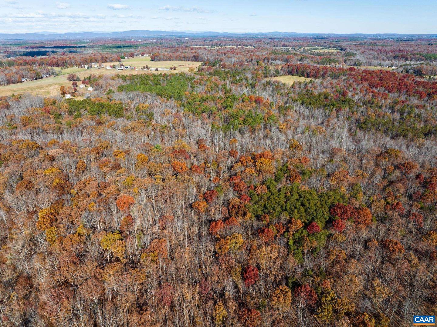 0 HOLLANDS RD, BYBEE, Virginia 22963, ,Farm,For sale,0 HOLLANDS RD,671140 MLS # 671140 0 HOLLANDS RD, BYBEE, Virginia 22963, ,Farm,For sale,0 HOLLANDS RD,671140 MLS # 671140