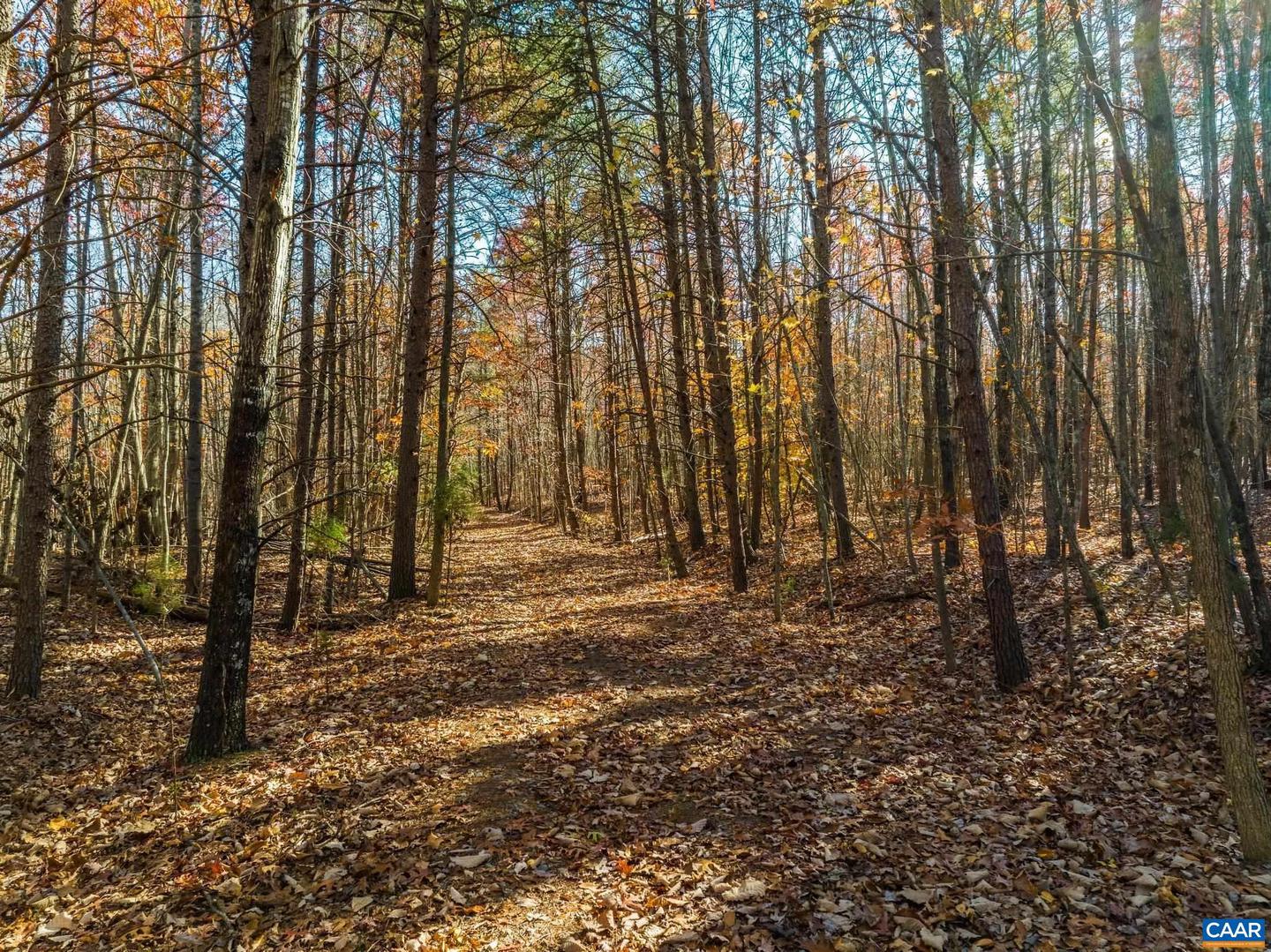 0 HOLLANDS RD, BYBEE, Virginia 22963, ,Farm,For sale,0 HOLLANDS RD,671140 MLS # 671140 0 HOLLANDS RD, BYBEE, Virginia 22963, ,Farm,For sale,0 HOLLANDS RD,671140 MLS # 671140