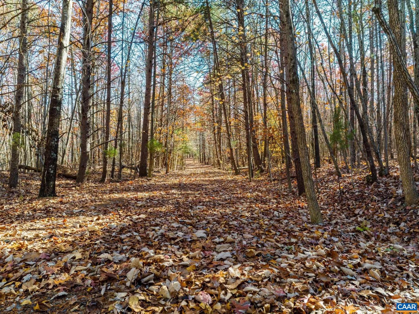 0 HOLLANDS RD, BYBEE, Virginia 22963, ,Farm,For sale,0 HOLLANDS RD,671140 MLS # 671140 0 HOLLANDS RD, BYBEE, Virginia 22963, ,Farm,For sale,0 HOLLANDS RD,671140 MLS # 671140