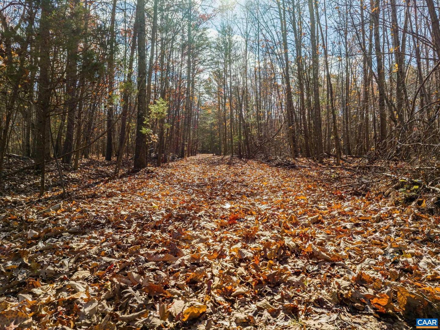 0 HOLLANDS RD, BYBEE, Virginia 22963, ,Farm,For sale,0 HOLLANDS RD,671140 MLS # 671140 0 HOLLANDS RD, BYBEE, Virginia 22963, ,Farm,For sale,0 HOLLANDS RD,671140 MLS # 671140