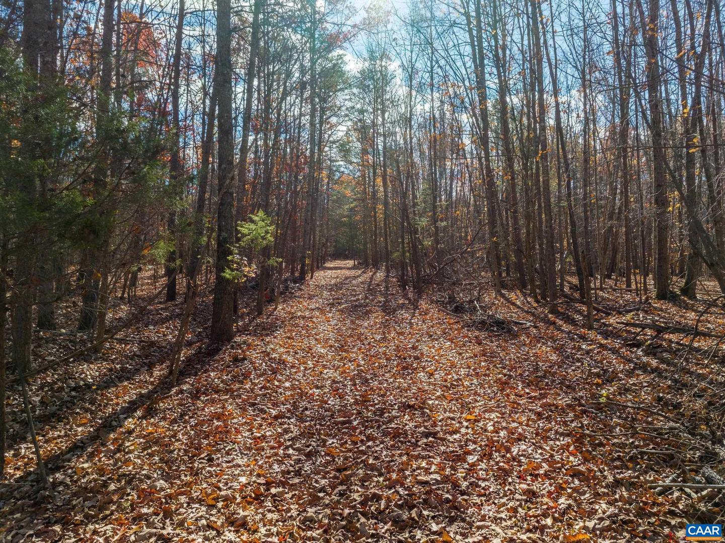 0 HOLLANDS RD, BYBEE, Virginia 22963, ,Farm,For sale,0 HOLLANDS RD,671140 MLS # 671140 0 HOLLANDS RD, BYBEE, Virginia 22963, ,Farm,For sale,0 HOLLANDS RD,671140 MLS # 671140