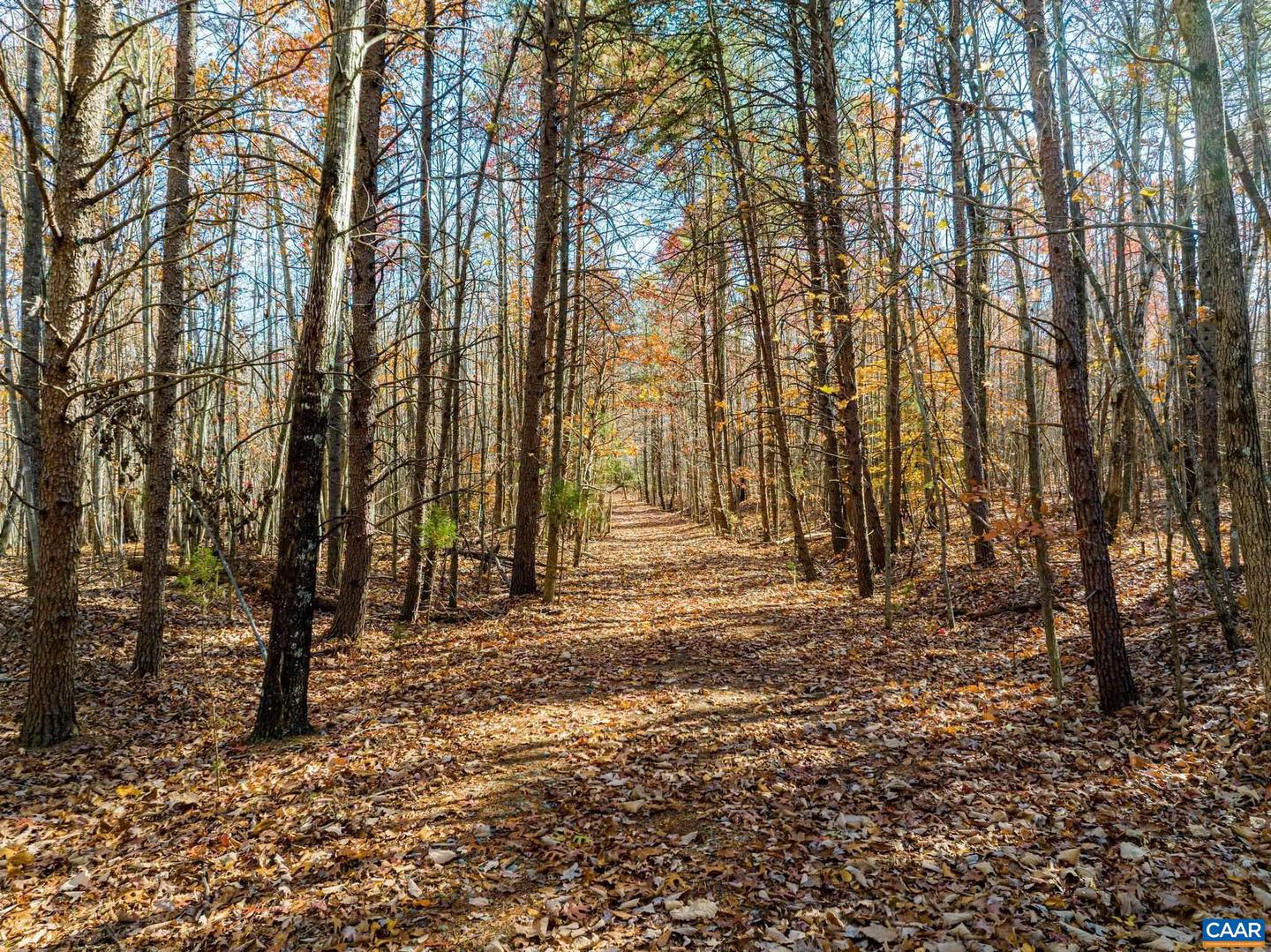 0 HOLLANDS RD, BYBEE, Virginia 22963, ,Farm,For sale,0 HOLLANDS RD,671140 MLS # 671140 0 HOLLANDS RD, BYBEE, Virginia 22963, ,Farm,For sale,0 HOLLANDS RD,671140 MLS # 671140