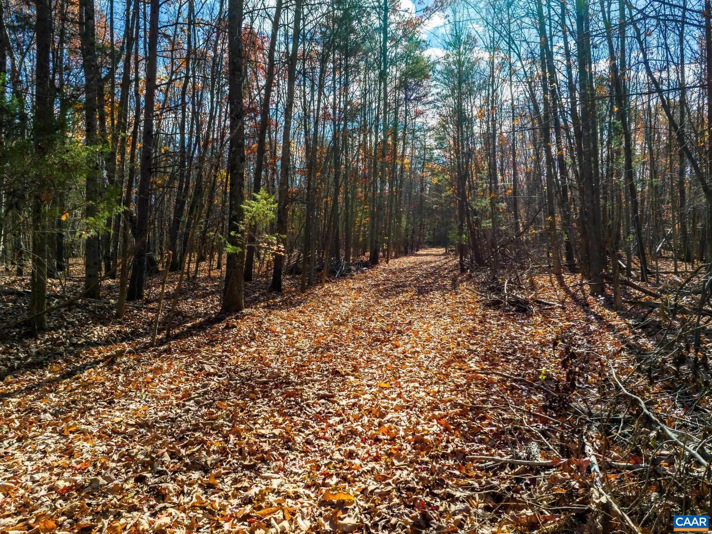 0 HOLLANDS RD, BYBEE, Virginia 22963, ,Farm,For sale,0 HOLLANDS RD,671140 MLS # 671140 0 HOLLANDS RD, BYBEE, Virginia 22963, ,Farm,For sale,0 HOLLANDS RD,671140 MLS # 671140