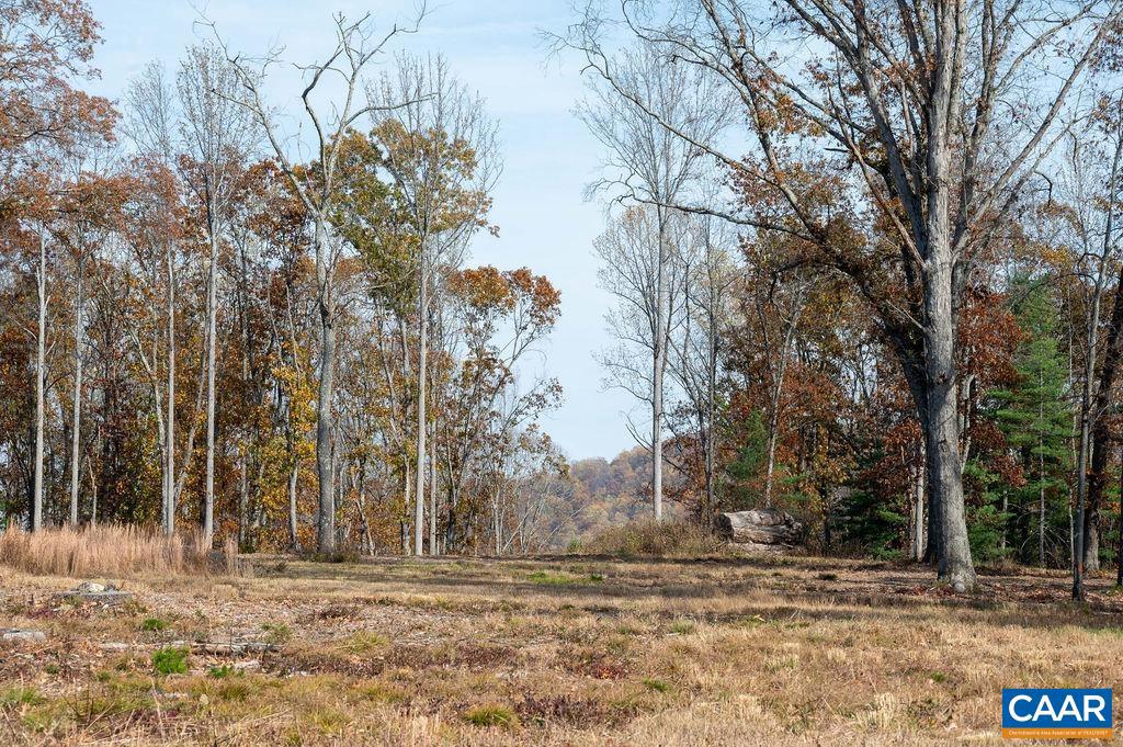 TBD RED HILL RD, CHARLOTTESVILLE, Virginia 22903, ,Land,For sale,TBD RED HILL RD,671146 MLS # 671146 TBD RED HILL RD, CHARLOTTESVILLE, Virginia 22903, ,Land,For sale,TBD RED HILL RD,671146 MLS # 671146