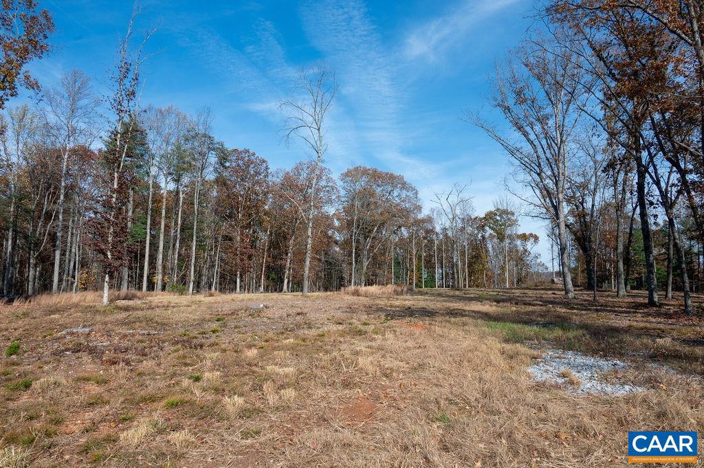 TBD RED HILL RD, CHARLOTTESVILLE, Virginia 22903, ,Land,For sale,TBD RED HILL RD,671146 MLS # 671146 TBD RED HILL RD, CHARLOTTESVILLE, Virginia 22903, ,Land,For sale,TBD RED HILL RD,671146 MLS # 671146