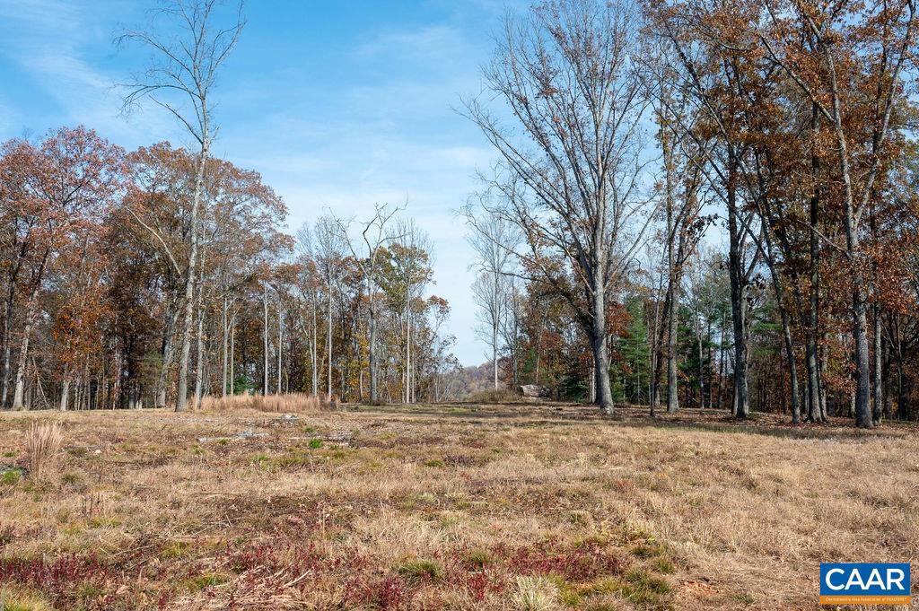 TBD RED HILL RD, CHARLOTTESVILLE, Virginia 22903, ,Land,For sale,TBD RED HILL RD,671146 MLS # 671146 TBD RED HILL RD, CHARLOTTESVILLE, Virginia 22903, ,Land,For sale,TBD RED HILL RD,671146 MLS # 671146