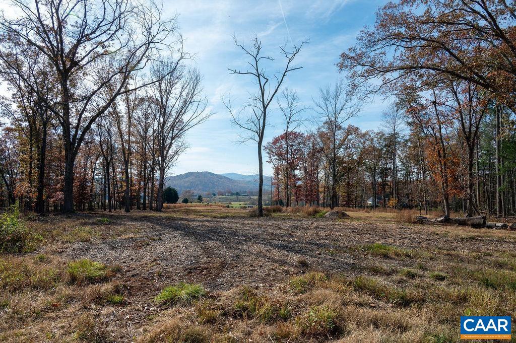 TBD RED HILL RD, CHARLOTTESVILLE, Virginia 22903, ,Land,For sale,TBD RED HILL RD,671146 MLS # 671146 TBD RED HILL RD, CHARLOTTESVILLE, Virginia 22903, ,Land,For sale,TBD RED HILL RD,671146 MLS # 671146