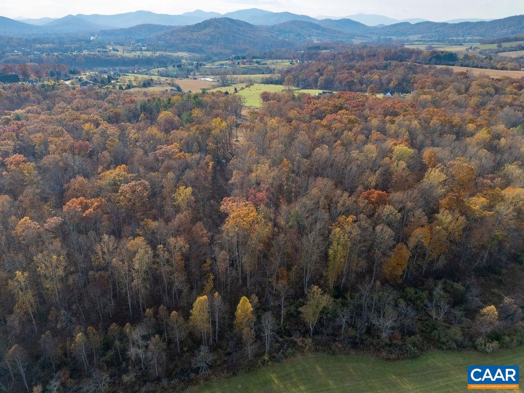 TBD RED HILL RD, CHARLOTTESVILLE, Virginia 22903, ,Land,For sale,TBD RED HILL RD,671146 MLS # 671146 TBD RED HILL RD, CHARLOTTESVILLE, Virginia 22903, ,Land,For sale,TBD RED HILL RD,671146 MLS # 671146