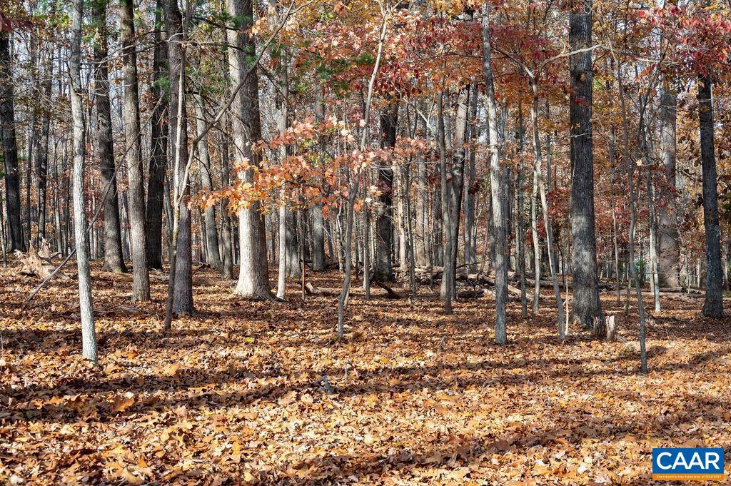 TBD RED HILL RD, CHARLOTTESVILLE, Virginia 22903, ,Land,For sale,TBD RED HILL RD,671146 MLS # 671146 TBD RED HILL RD, CHARLOTTESVILLE, Virginia 22903, ,Land,For sale,TBD RED HILL RD,671146 MLS # 671146