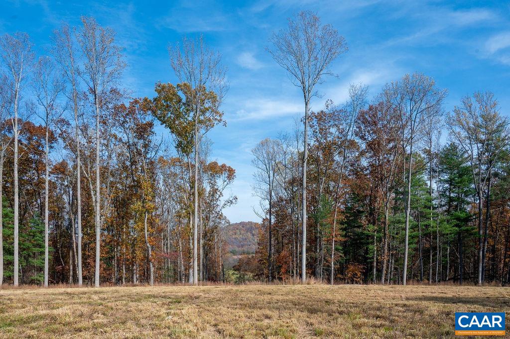 TBD RED HILL RD, CHARLOTTESVILLE, Virginia 22903, ,Land,For sale,TBD RED HILL RD,671146 MLS # 671146 TBD RED HILL RD, CHARLOTTESVILLE, Virginia 22903, ,Land,For sale,TBD RED HILL RD,671146 MLS # 671146