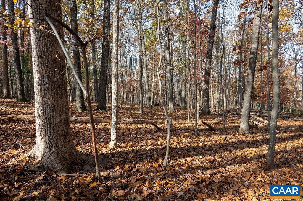 TBD RED HILL RD, CHARLOTTESVILLE, Virginia 22903, ,Land,For sale,TBD RED HILL RD,671146 MLS # 671146 TBD RED HILL RD, CHARLOTTESVILLE, Virginia 22903, ,Land,For sale,TBD RED HILL RD,671146 MLS # 671146