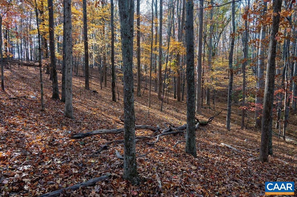 TBD RED HILL RD, CHARLOTTESVILLE, Virginia 22903, ,Land,For sale,TBD RED HILL RD,671146 MLS # 671146 TBD RED HILL RD, CHARLOTTESVILLE, Virginia 22903, ,Land,For sale,TBD RED HILL RD,671146 MLS # 671146