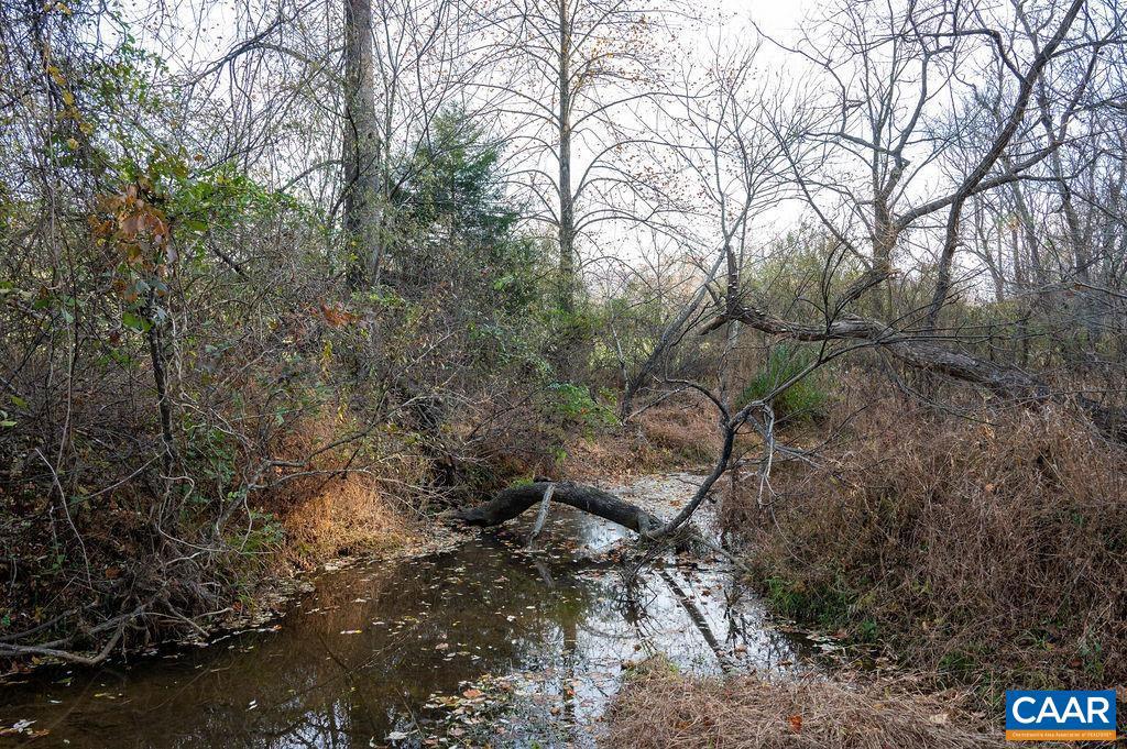 TBD RED HILL RD, CHARLOTTESVILLE, Virginia 22903, ,Land,For sale,TBD RED HILL RD,671146 MLS # 671146 TBD RED HILL RD, CHARLOTTESVILLE, Virginia 22903, ,Land,For sale,TBD RED HILL RD,671146 MLS # 671146