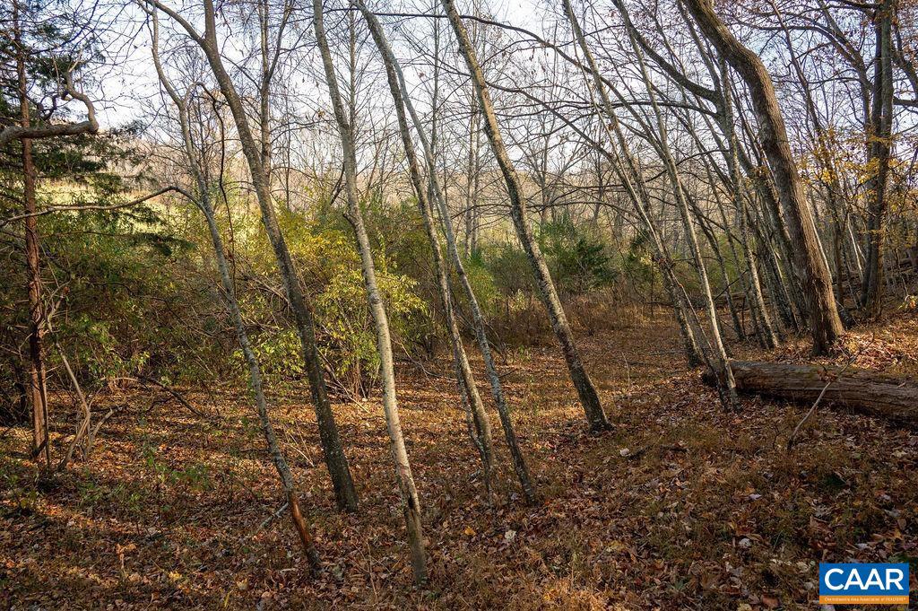 TBD RED HILL RD, CHARLOTTESVILLE, Virginia 22903, ,Land,For sale,TBD RED HILL RD,671146 MLS # 671146 TBD RED HILL RD, CHARLOTTESVILLE, Virginia 22903, ,Land,For sale,TBD RED HILL RD,671146 MLS # 671146