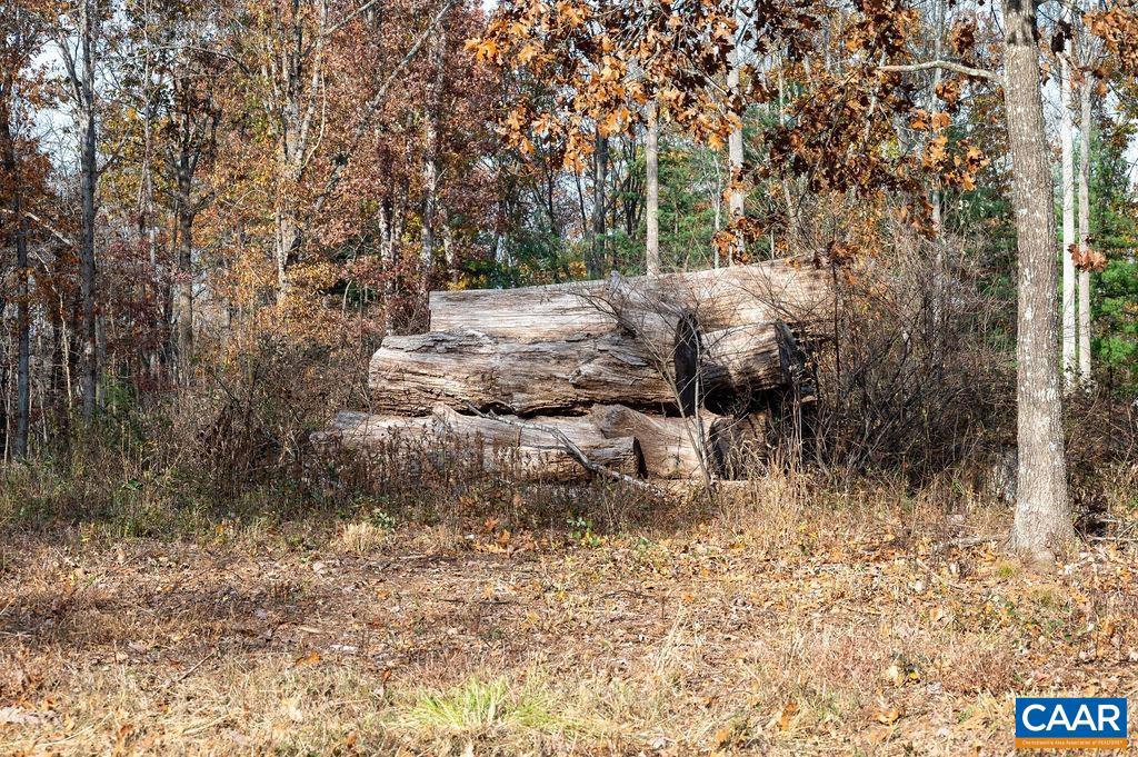 TBD RED HILL RD, CHARLOTTESVILLE, Virginia 22903, ,Land,For sale,TBD RED HILL RD,671146 MLS # 671146 TBD RED HILL RD, CHARLOTTESVILLE, Virginia 22903, ,Land,For sale,TBD RED HILL RD,671146 MLS # 671146