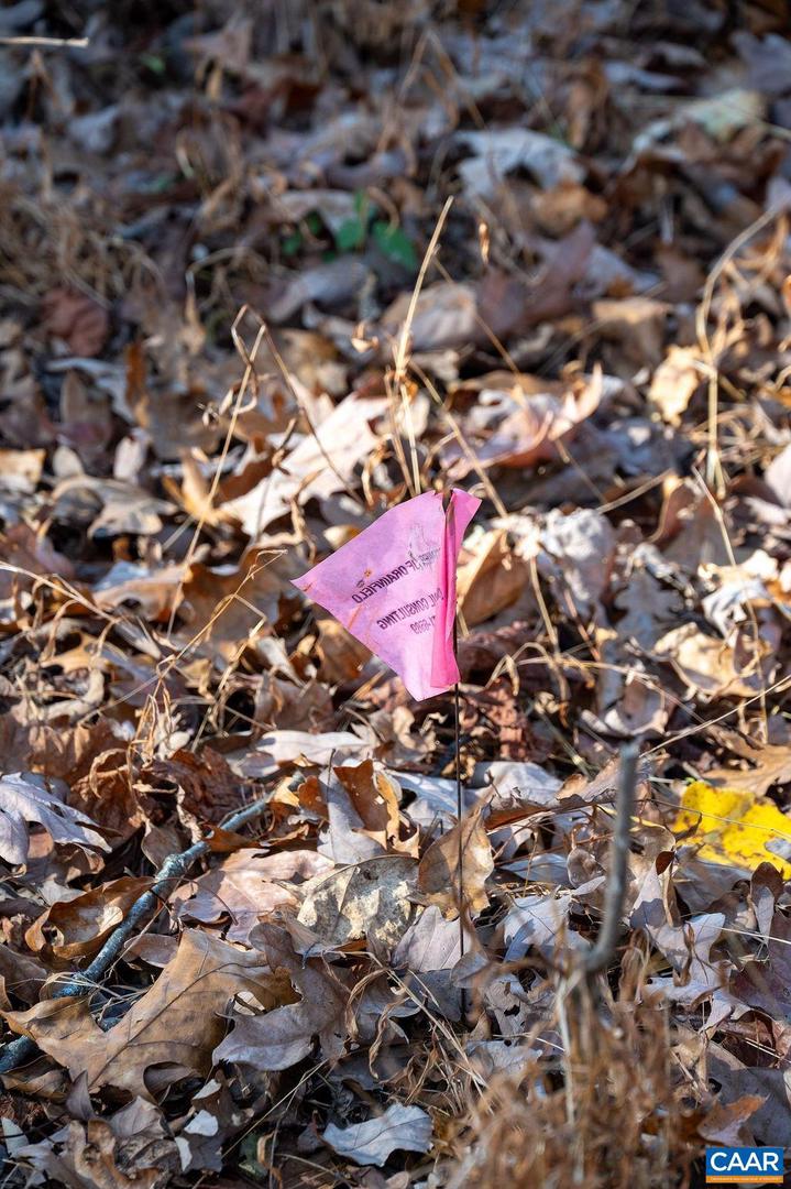 TBD RED HILL RD, CHARLOTTESVILLE, Virginia 22903, ,Land,For sale,TBD RED HILL RD,671146 MLS # 671146 TBD RED HILL RD, CHARLOTTESVILLE, Virginia 22903, ,Land,For sale,TBD RED HILL RD,671146 MLS # 671146