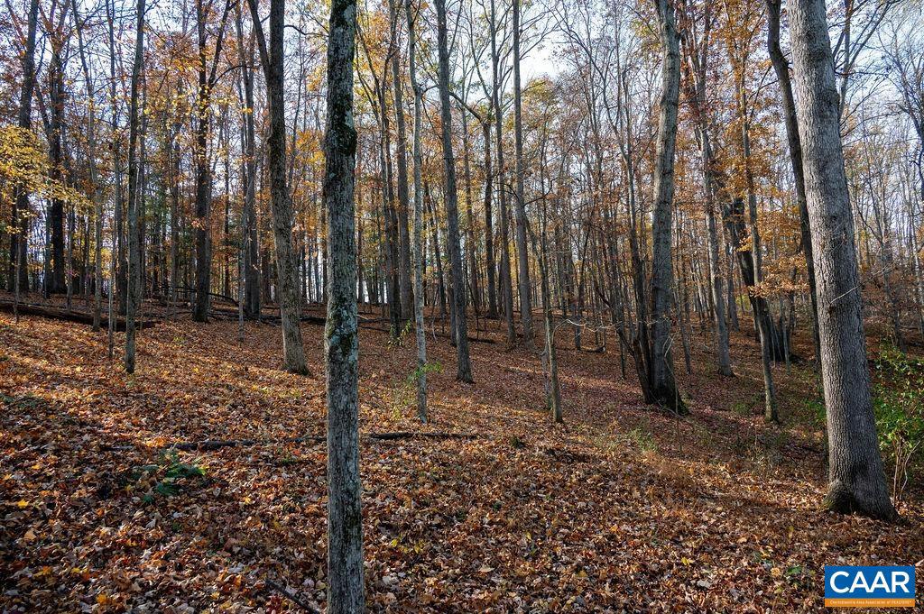 TBD RED HILL RD, CHARLOTTESVILLE, Virginia 22903, ,Land,For sale,TBD RED HILL RD,671146 MLS # 671146 TBD RED HILL RD, CHARLOTTESVILLE, Virginia 22903, ,Land,For sale,TBD RED HILL RD,671146 MLS # 671146