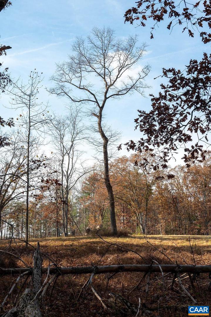 TBD RED HILL RD, CHARLOTTESVILLE, Virginia 22903, ,Land,For sale,TBD RED HILL RD,671146 MLS # 671146 TBD RED HILL RD, CHARLOTTESVILLE, Virginia 22903, ,Land,For sale,TBD RED HILL RD,671146 MLS # 671146