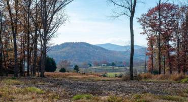 TBD RED HILL RD, CHARLOTTESVILLE, Virginia 22903, ,Land,For sale,TBD RED HILL RD,671146 MLS # 671146